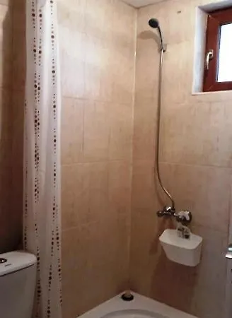 Вили Green * Tsigov Chark