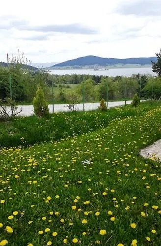 Hébergement de vacances Вили Green *