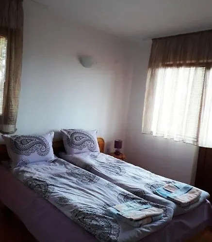 Вили Green * Tsigov Chark